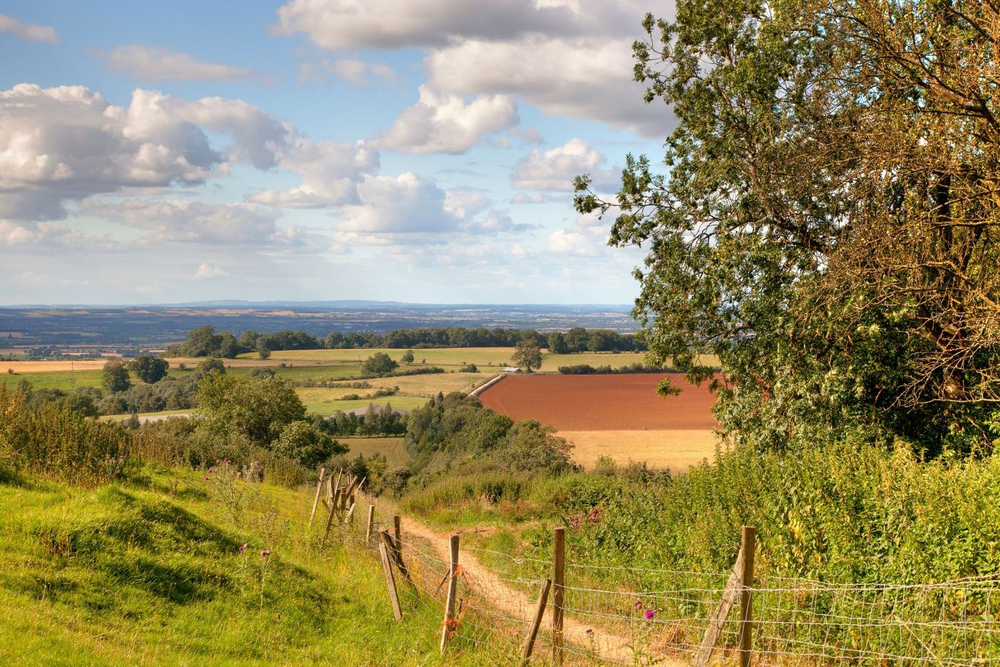 Cotsword way landscape.jpg